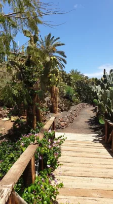 JÓGA RETREAT KANÁRSKÉ OSTROVY FUERTEVENTURA 14. - 21. 9. 2025 Yoga Ivka @ Villas Resorts